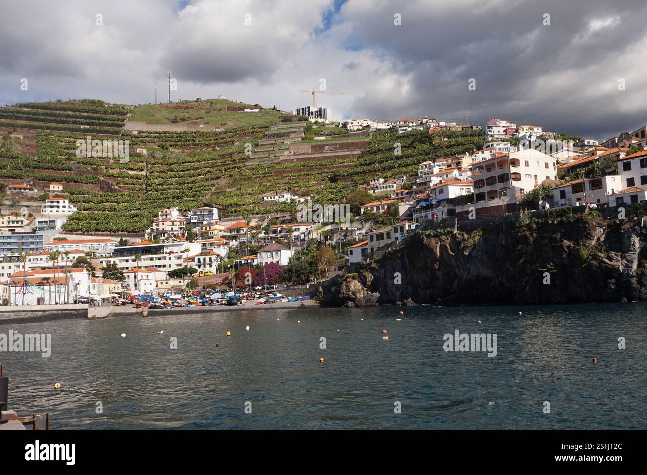 Port de Câmara de Lobos, Madère, Portugal Banque D'Images