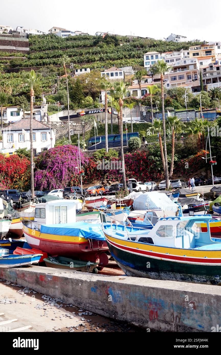Port de Câmara de Lobos, Madère, Portugal Banque D'Images