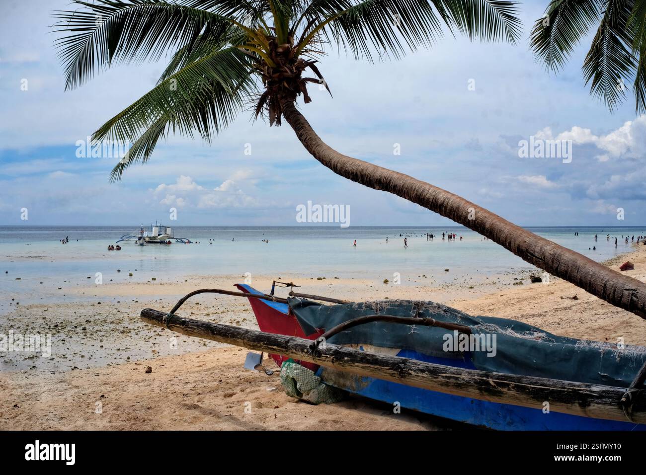 Petit bateau de pêche garé sur la plage à côté d'un cocotier courbé, à Tabuelan, Cebu, Philippines. Banque D'Images