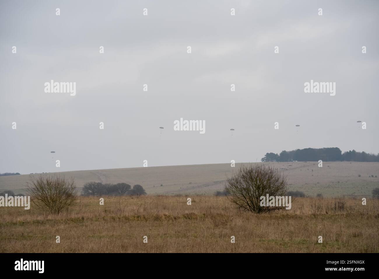 parachutistes de l'armée descendant d'un parachute d'assaut aéroporté Banque D'Images
