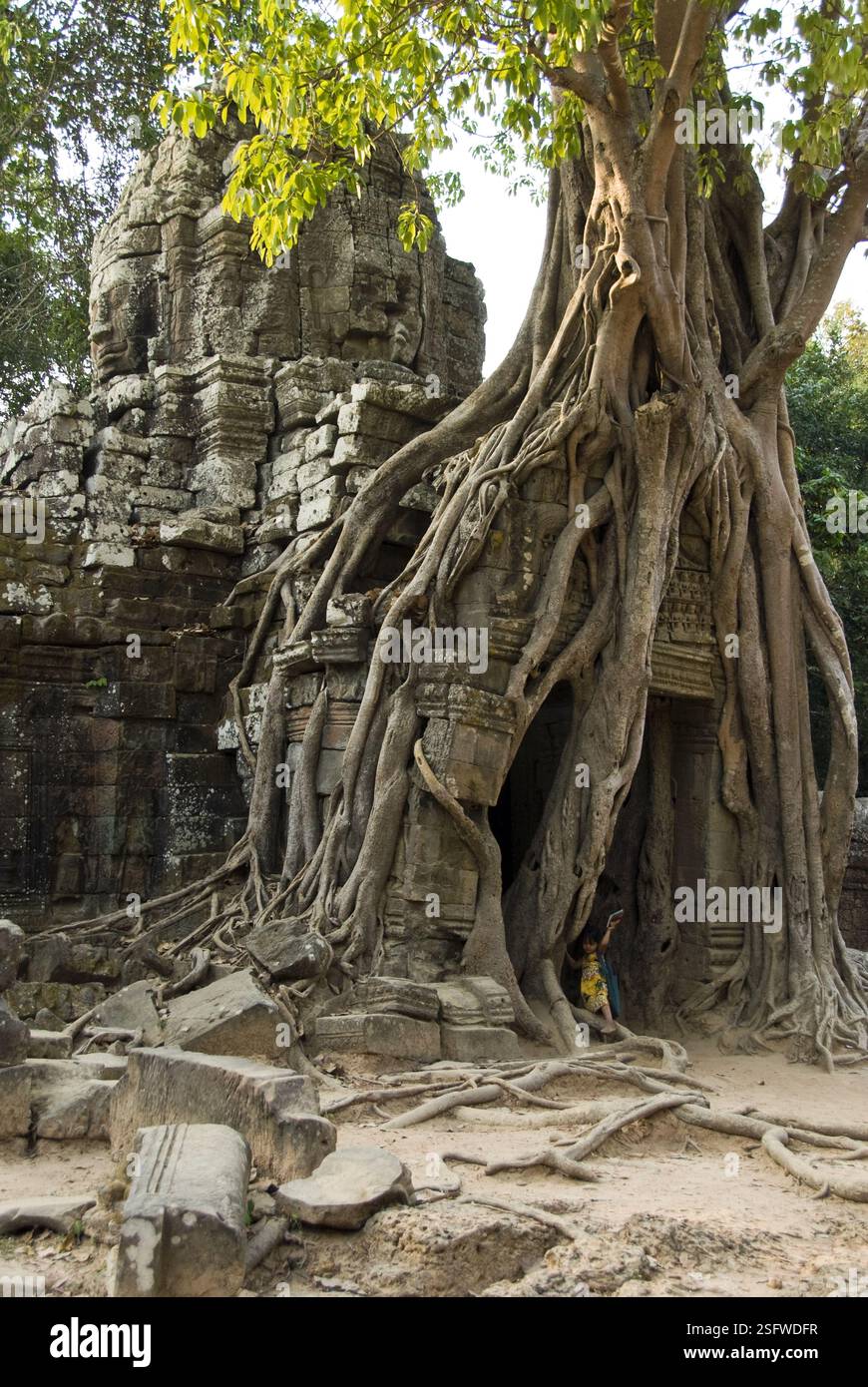 Ta Som est un petit temple bouddhiste à Angkor construit au 12ème siècle pour le roi Jayavarman VII Banque D'Images