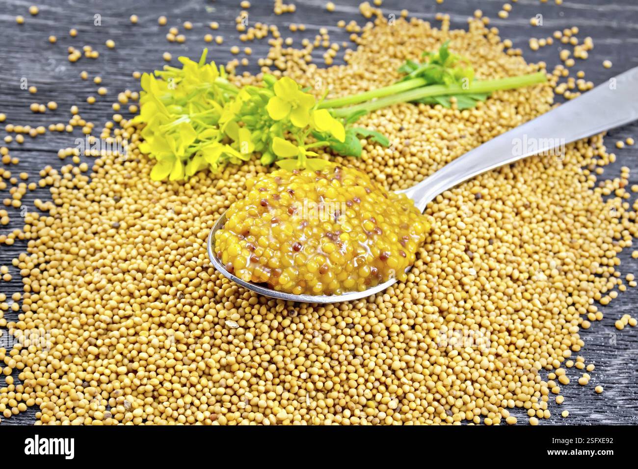 Sauce moutarde de Dijon dans une cuillère en métal et la moutarde jaune graines de fleurs sur une planche de bois noir contre Banque D'Images