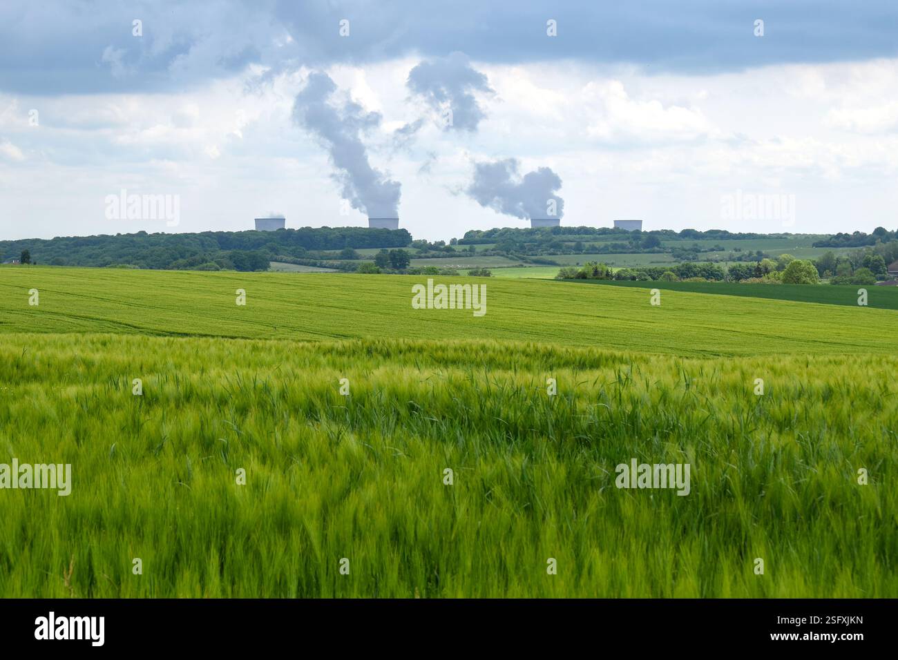 Un champ de blé vert luxuriant s'étend vers l'horizon, avec la centrale nucléaire de Cattenom visible en arrière-plan sous un ciel nuageux. Banque D'Images
