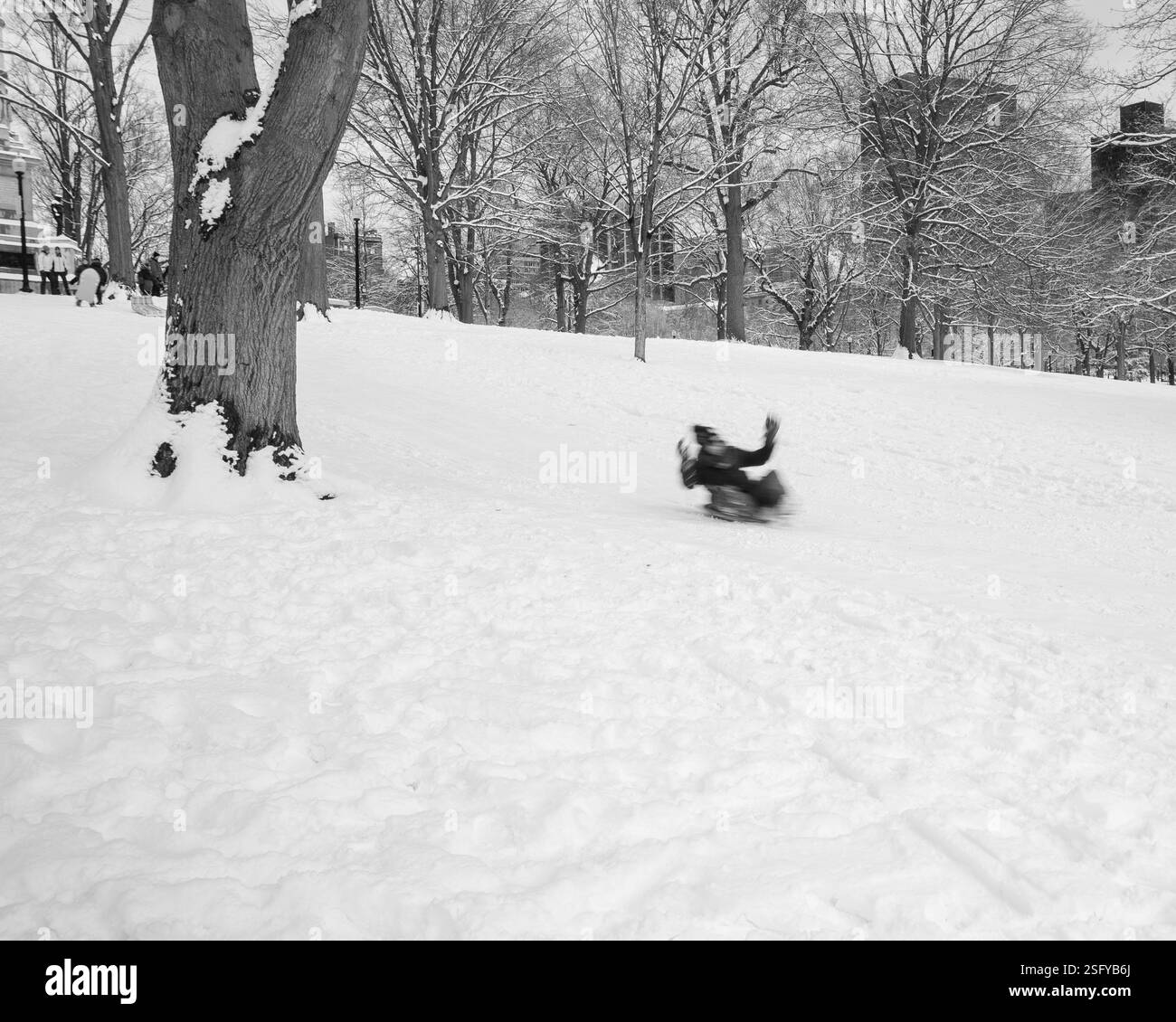 Luge à Boston Common Banque D'Images