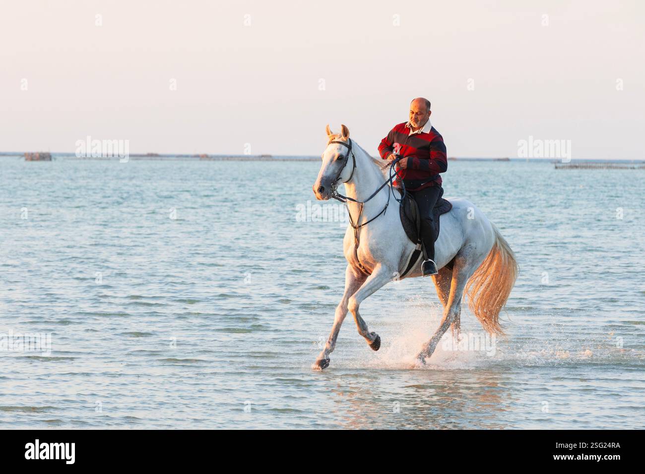 Un homme de Bahreïn à cheval à Karbabad Beach à Manama, Bahreïn Banque D'Images