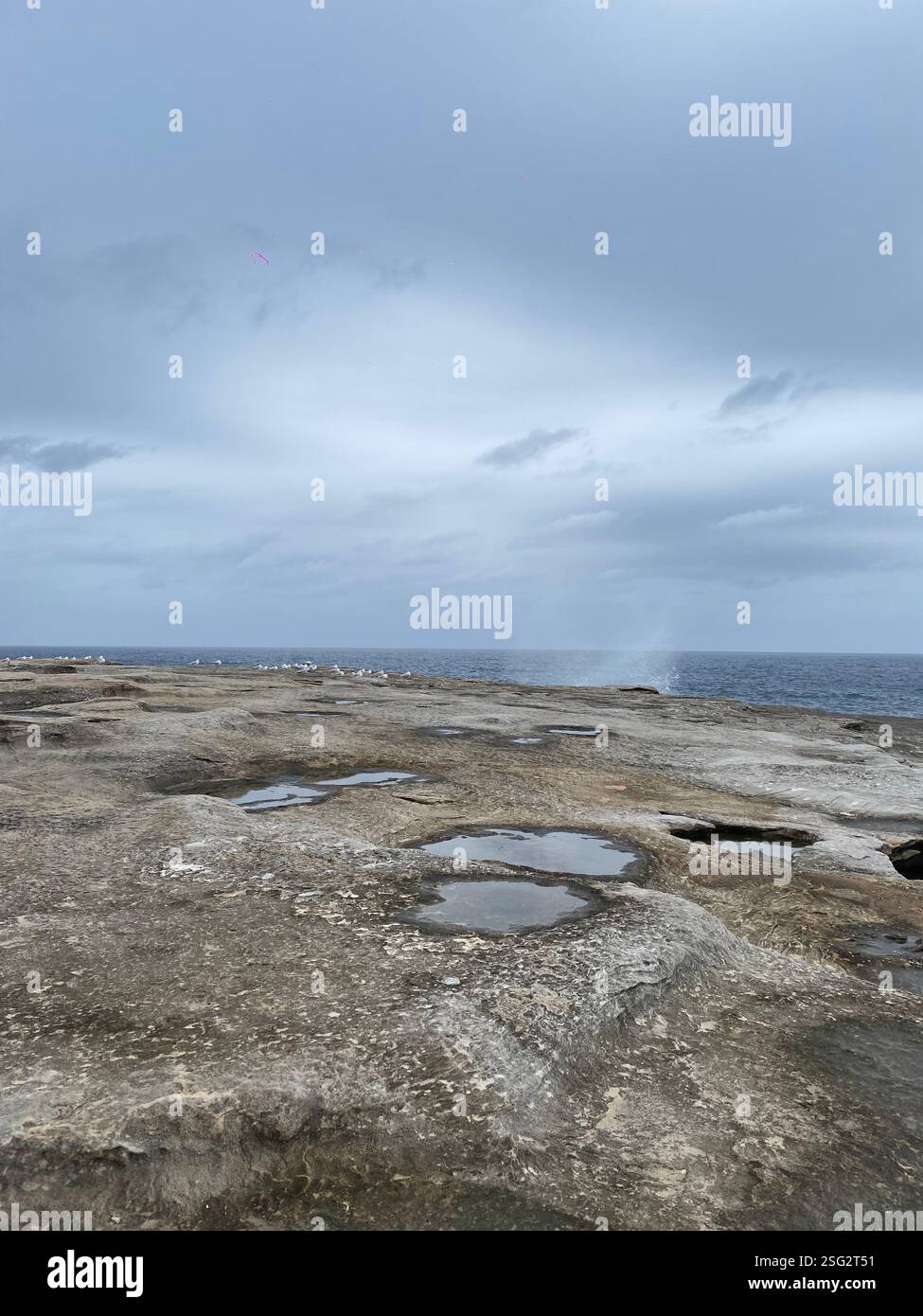 Promontoire depuis les falaises de Coogee, Nouvelle-Galles du Sud - Image de stock capturée avec un smartphone