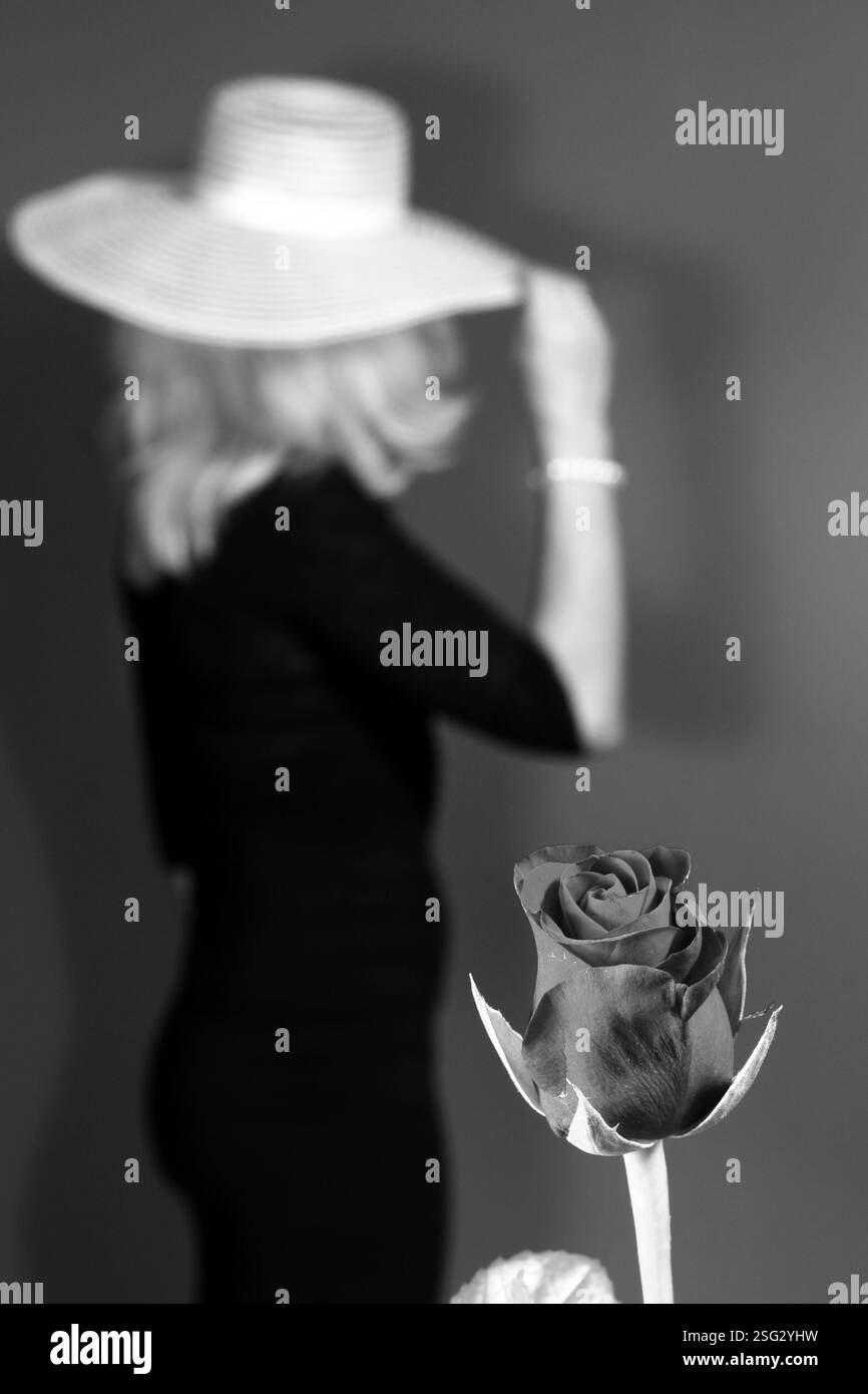 Rose rouge pour fille en chapeau blanc pour la Saint-Valentin, monochrome Banque D'Images
