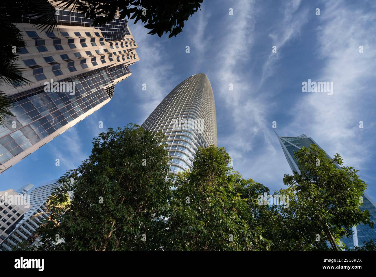 Le bâtiment Salesforce de SF et d'autres gratte-ciel, vus d'en bas, au milieu des arbres, une journée ensoleillée. Banque D'Images