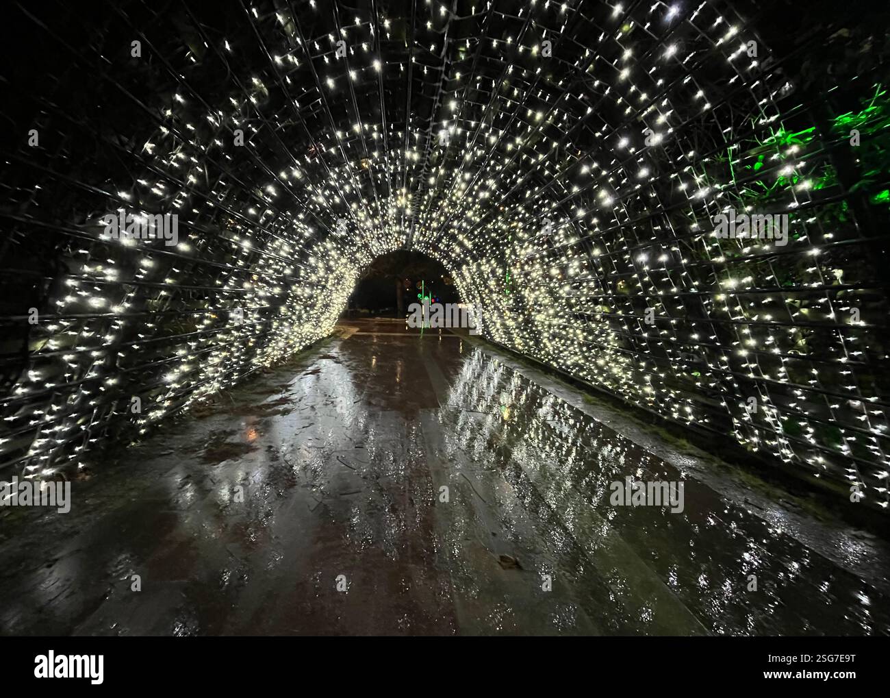 Passage éclairé dans la nuit noire. Banque D'Images