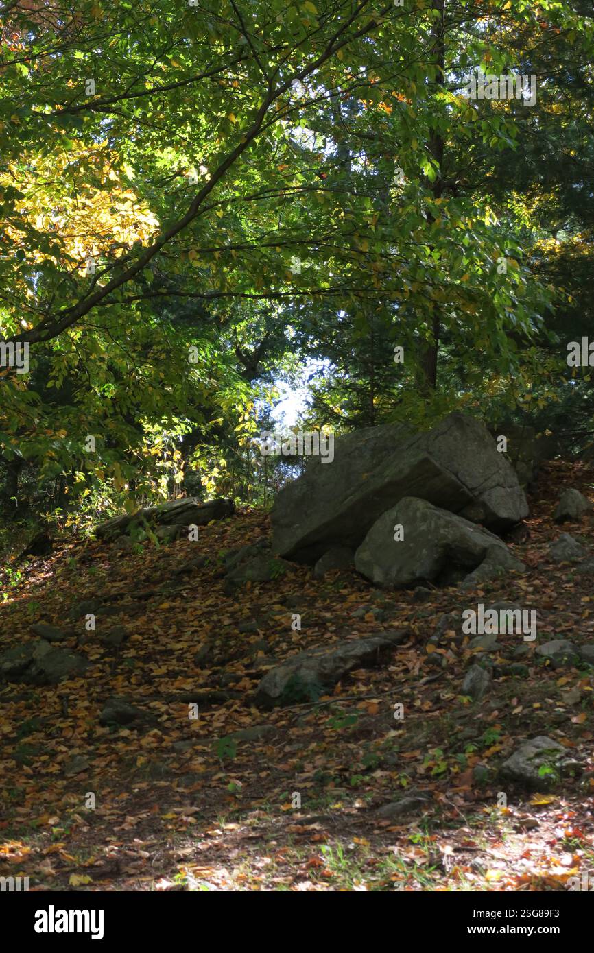 Roches altérées entourées de feuilles mortes. Banque D'Images