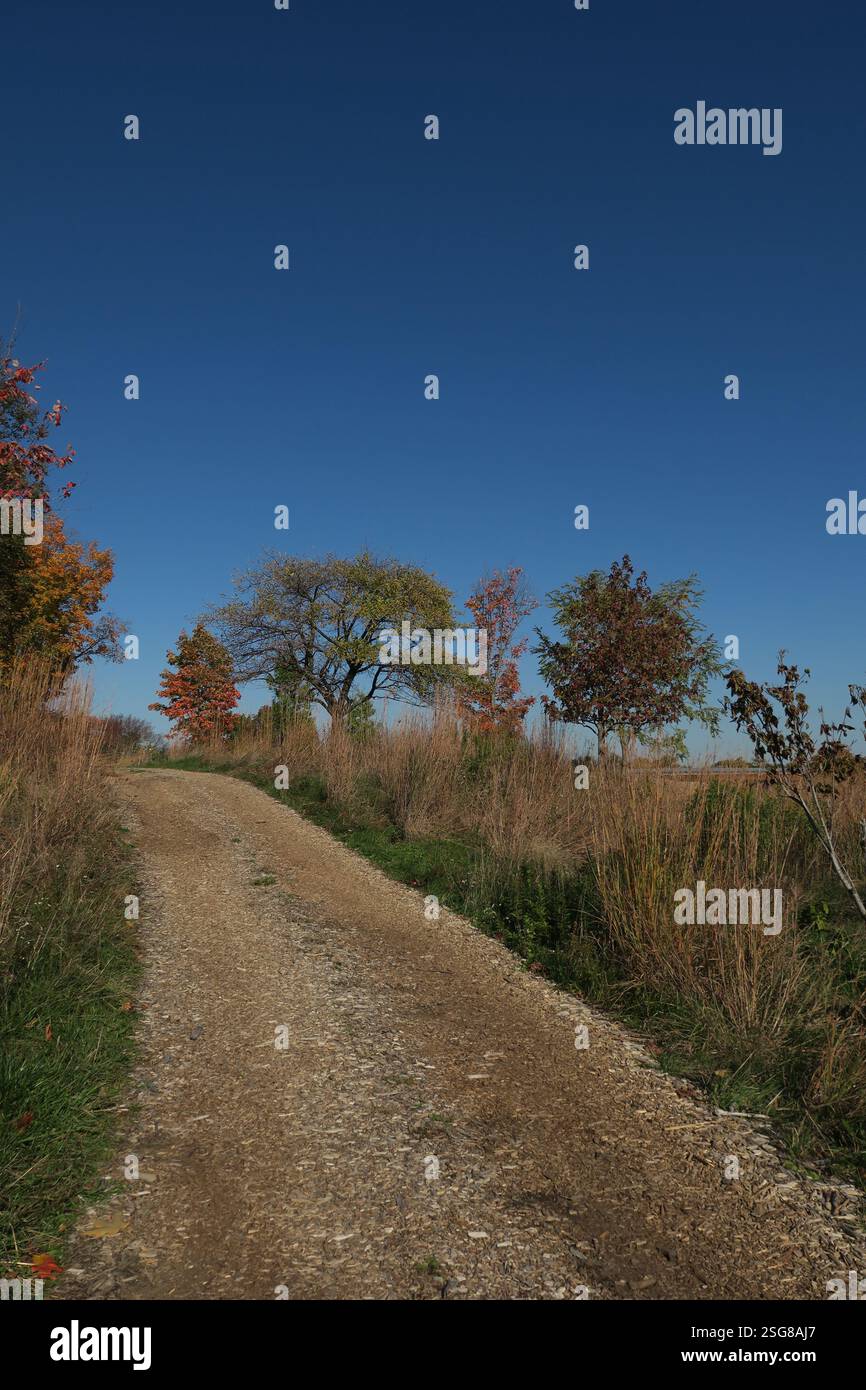 Les couleurs d'automne d'orange et de jaune peignent les arbres le long d'une route de campagne. Banque D'Images