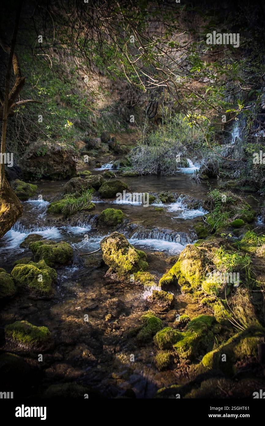 Vrelo, le fleuve le plus court d'Europe, et la belle nature autour de lui Banque D'Images