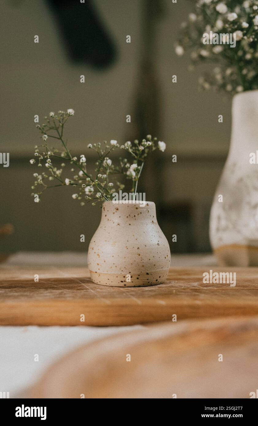 Un vase blanc avec une fleur à l'intérieur se trouve sur une table en bois. Le vase est petit et a un design simple. La fleur est blanche et ajoute une touche d'élégance t Banque D'Images