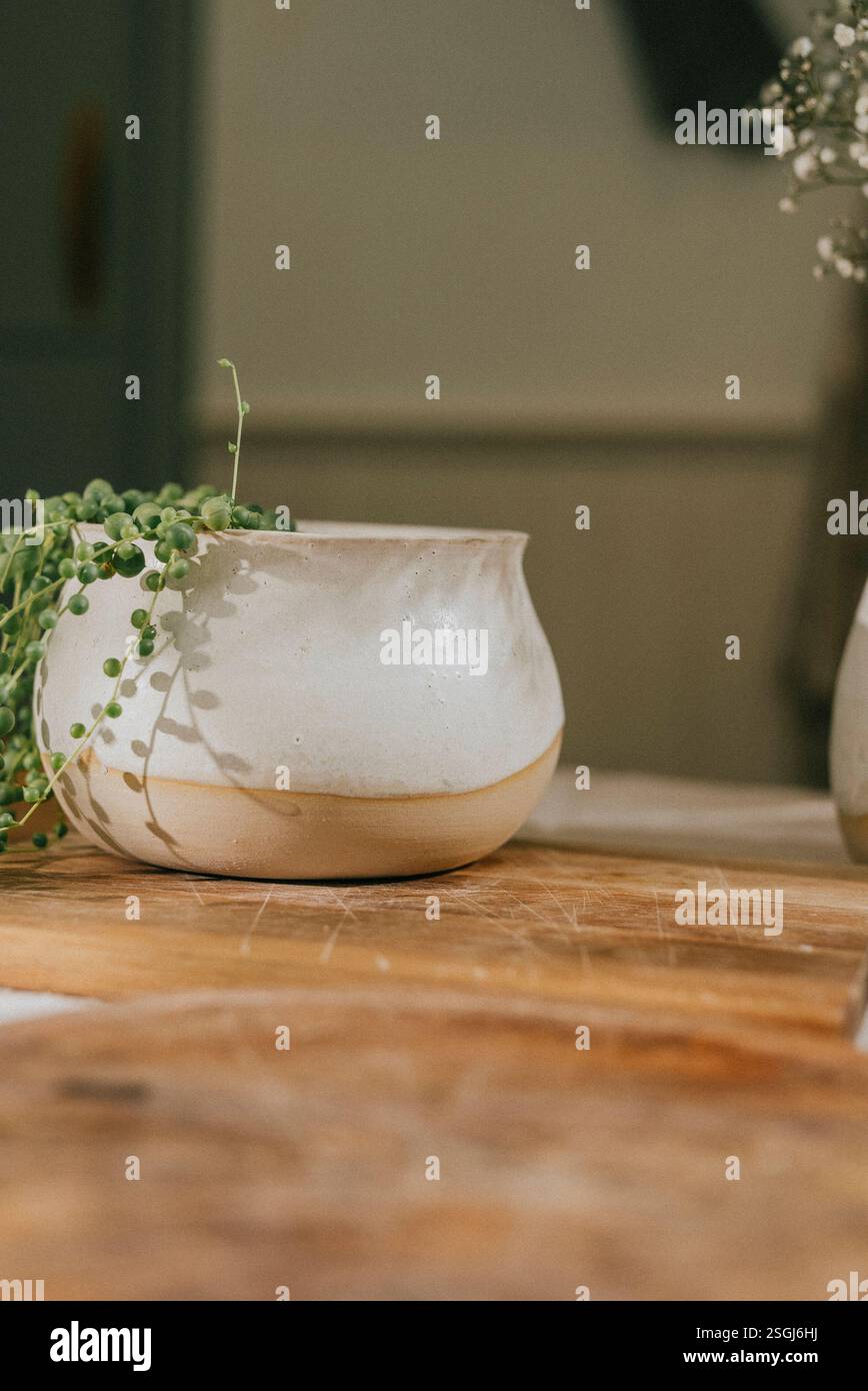 Un vase blanc avec une plante à l'intérieur se trouve sur une table en bois. Le vase est petit et a un bord jaune. La scène est simple et paisible, avec le vase Banque D'Images