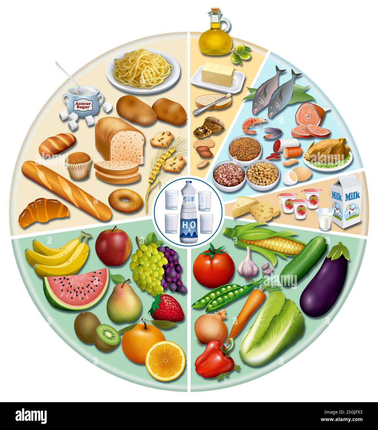 Illustration de la roue alimentaire équilibrée. Variété d'aliments pour une nutrition saine. Banque D'Images