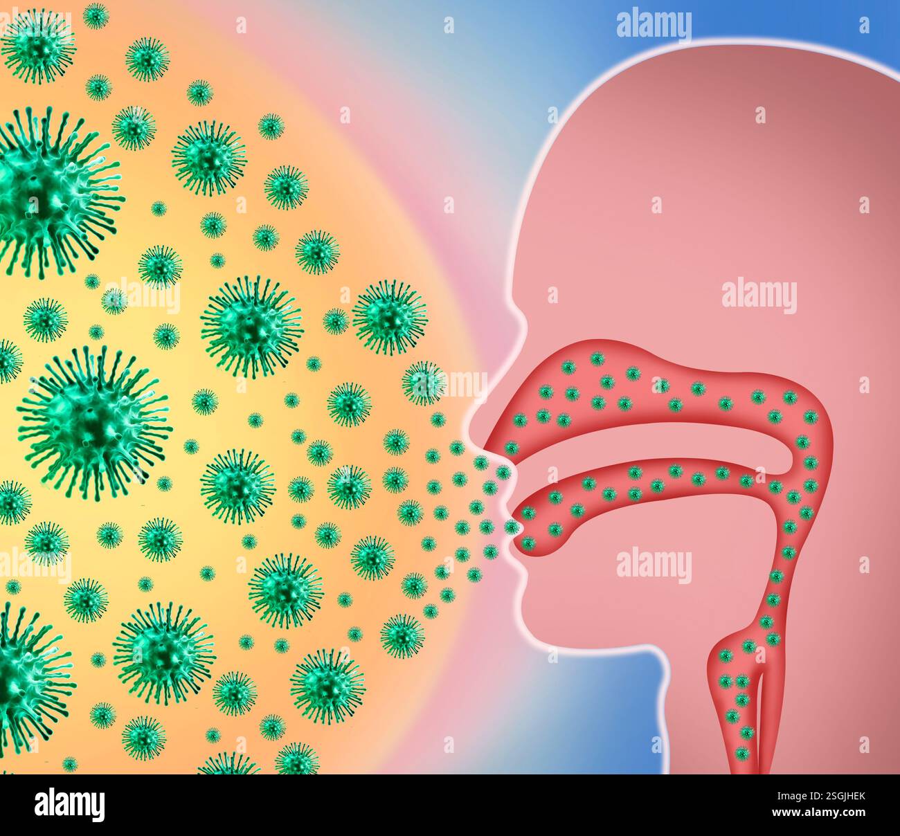 Illustration de la grippe. Une infection virale très contagieuse qui affecte le système respiratoire, provoquant fièvre, toux, douleurs musculaires et générales. Banque D'Images