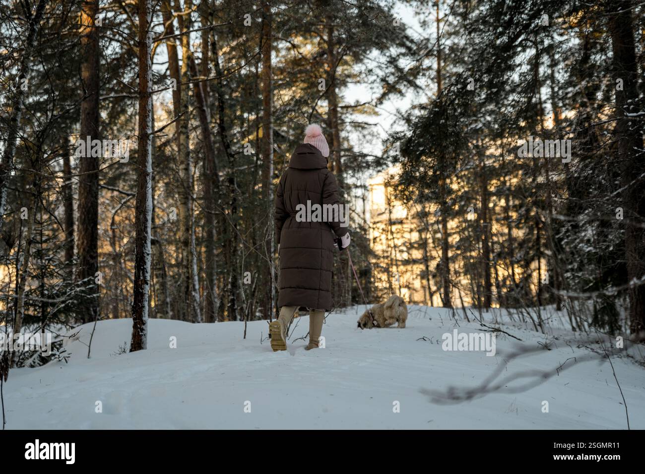 Femme portant un chapeau rose marchant avec un chien dans la forêt enneigée Oslo Banque D'Images