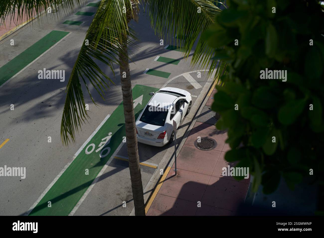 Une voiture blanche garée dans une rue à côté d'une piste cyclable, avec des palmiers et un trottoir en vue, Miami, Floride, États-Unis Banque D'Images
