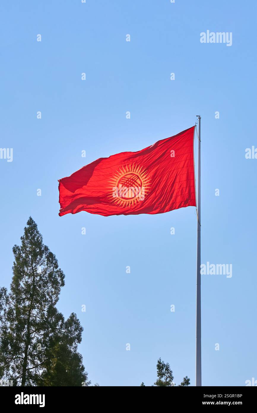 Le Kirghizistan a mis à jour les battements de drapeau dans le vent, contre le ciel bleu clair. Brandissant le nouveau drapeau rouge République kirghize sur le mât du drapeau, près du sommet d'un tr de conifères Banque D'Images
