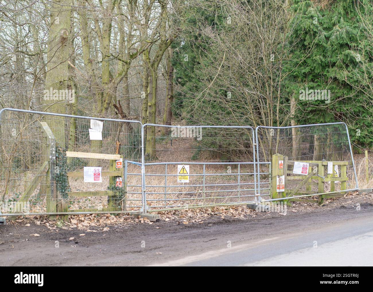 L'accès à un parc public et à des bois est limité par des barrières métalliques, une chaîne et un cadenas en raison des opérations d'abattage des arbres. Cela fait suite à une tempête majeure t Banque D'Images
