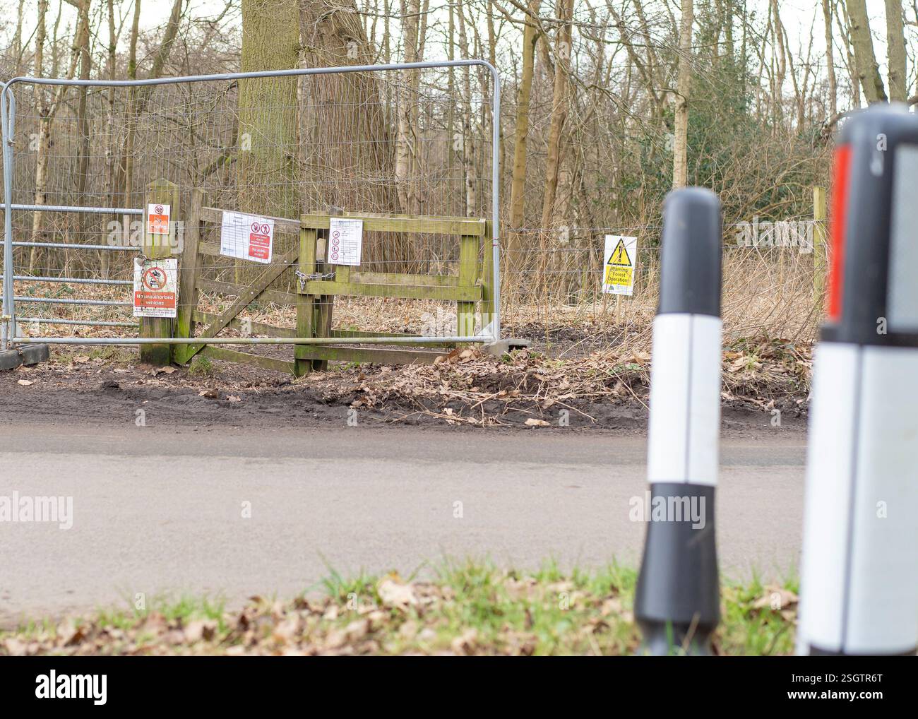 L'accès à un parc public et à des bois est limité par des barrières métalliques, une chaîne et un cadenas en raison des opérations d'abattage des arbres. Cela fait suite à une tempête majeure t Banque D'Images