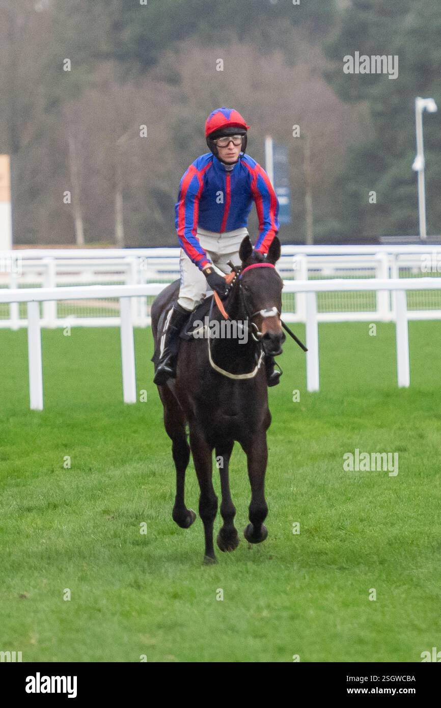 Ascot, Berkshire, Royaume-Uni. 17 février 2024. NALA LA LIONNE montée par le jockey Harry Cobden dans l’Open National Hunt Flat Race britannique EBF Mares au Betfair Ascot Chase Raceday à l’hippodrome d’Ascot. Crédit : Maureen McLean/Alamy Banque D'Images