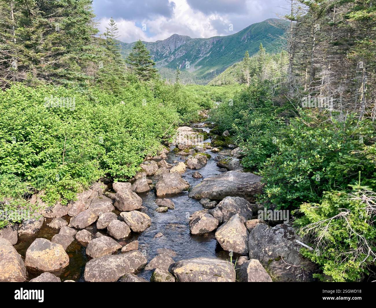 Une rivière paisible et rocheuse coule au pied de la montagne - Image de stock capturée avec un smartphone