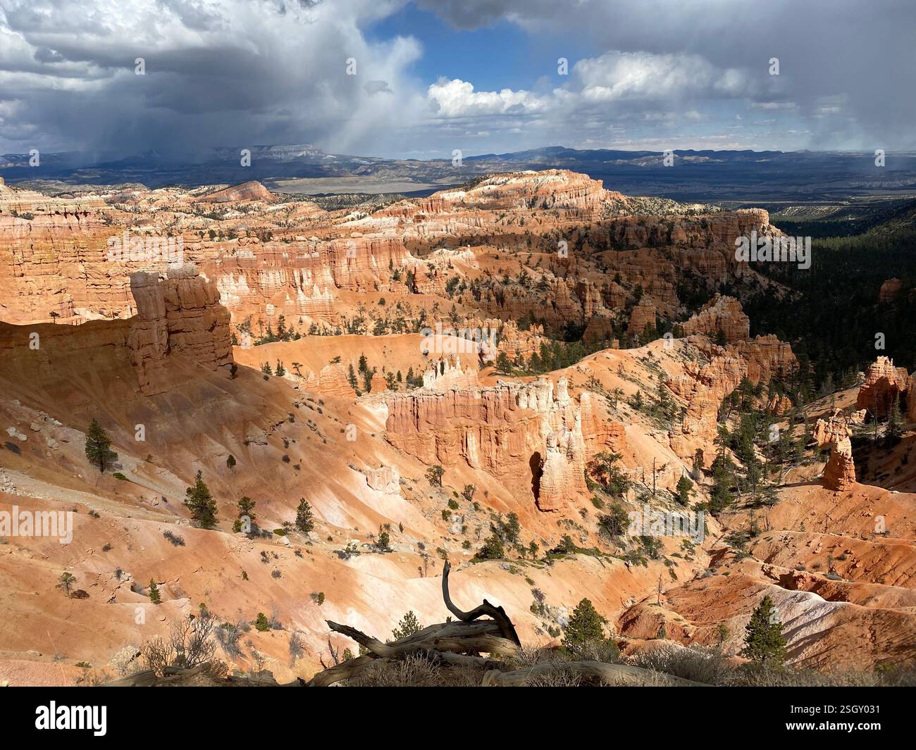 Vue sur Byrce Canyon - Image de stock capturée avec un smartphone