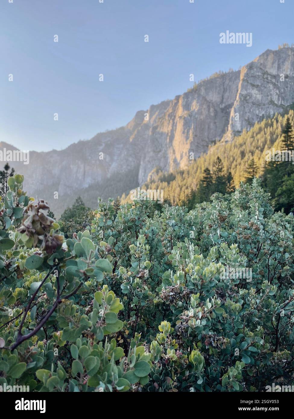 Yosemite Valley au lever du soleil | Parc national de Yosemite - Image de stock capturée avec un smartphone