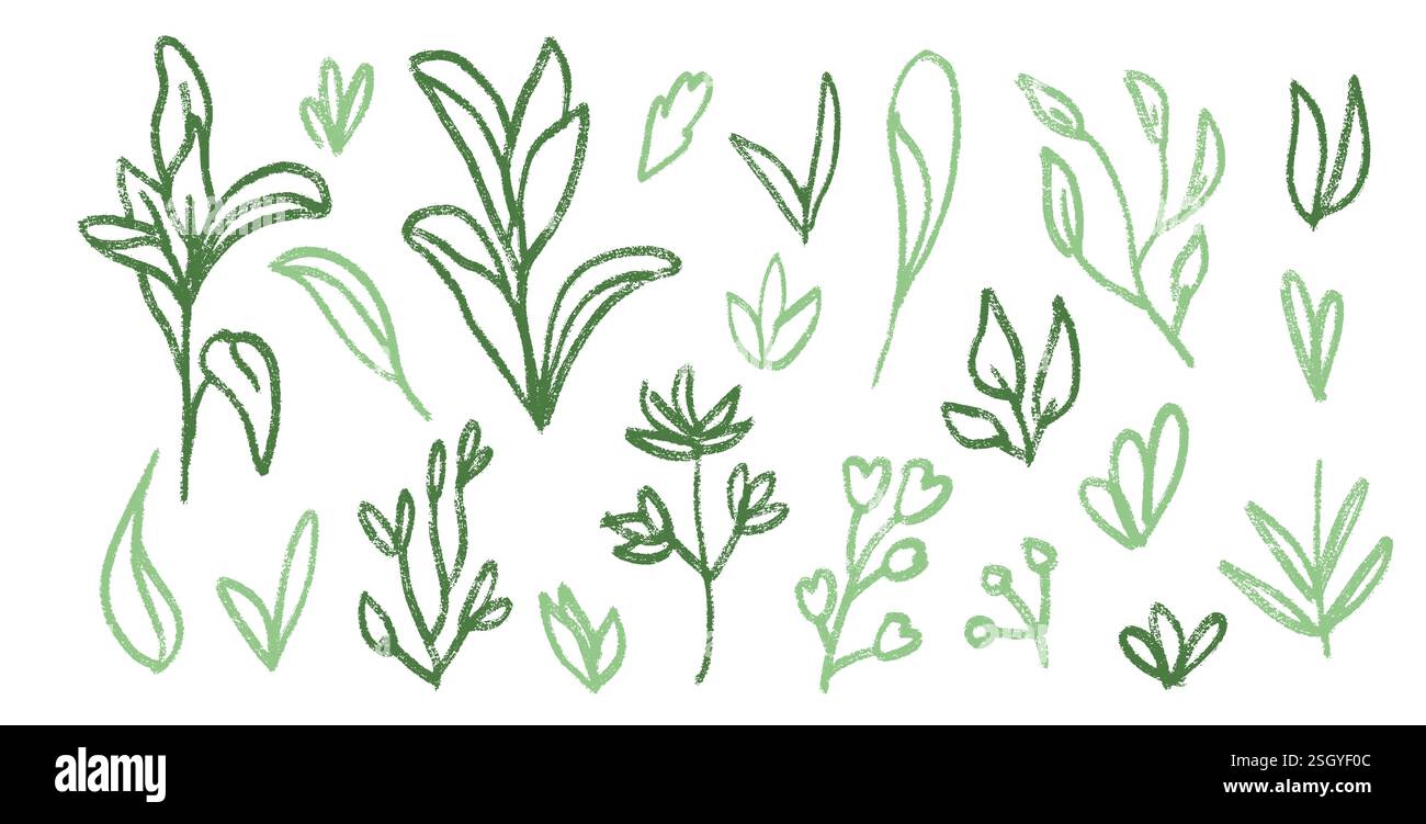 Pelouse et feuilles ligne crayon dessiné ensemble. Les plantes printanières gribouillent. Éléments fleuris d'été pour enfants. Forme enfantine de style craie ou pastel. Vecteur naïf Illustration de Vecteur