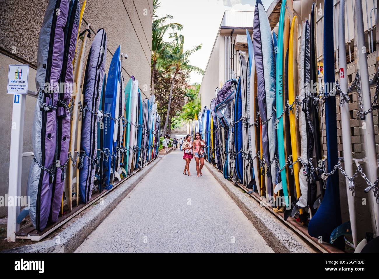 Honolulu, Hawaï - États-Unis - 1 septembre 2018 : les surfeurs stockent des planches de surf dans l'historique Waikiki Surfboard Alley depuis plus de 100 ans. Banque D'Images