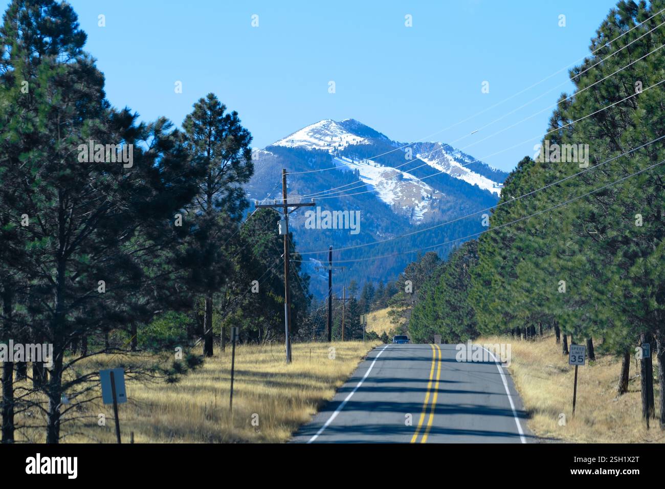 Route sinueuse à travers la forêt avec montagne enneigée Banque D'Images