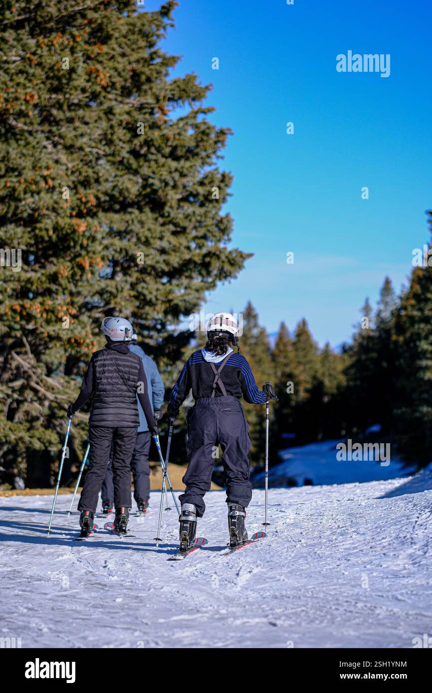 Aventure d'une journée de neige : skieurs sur un sentier forestier Banque D'Images