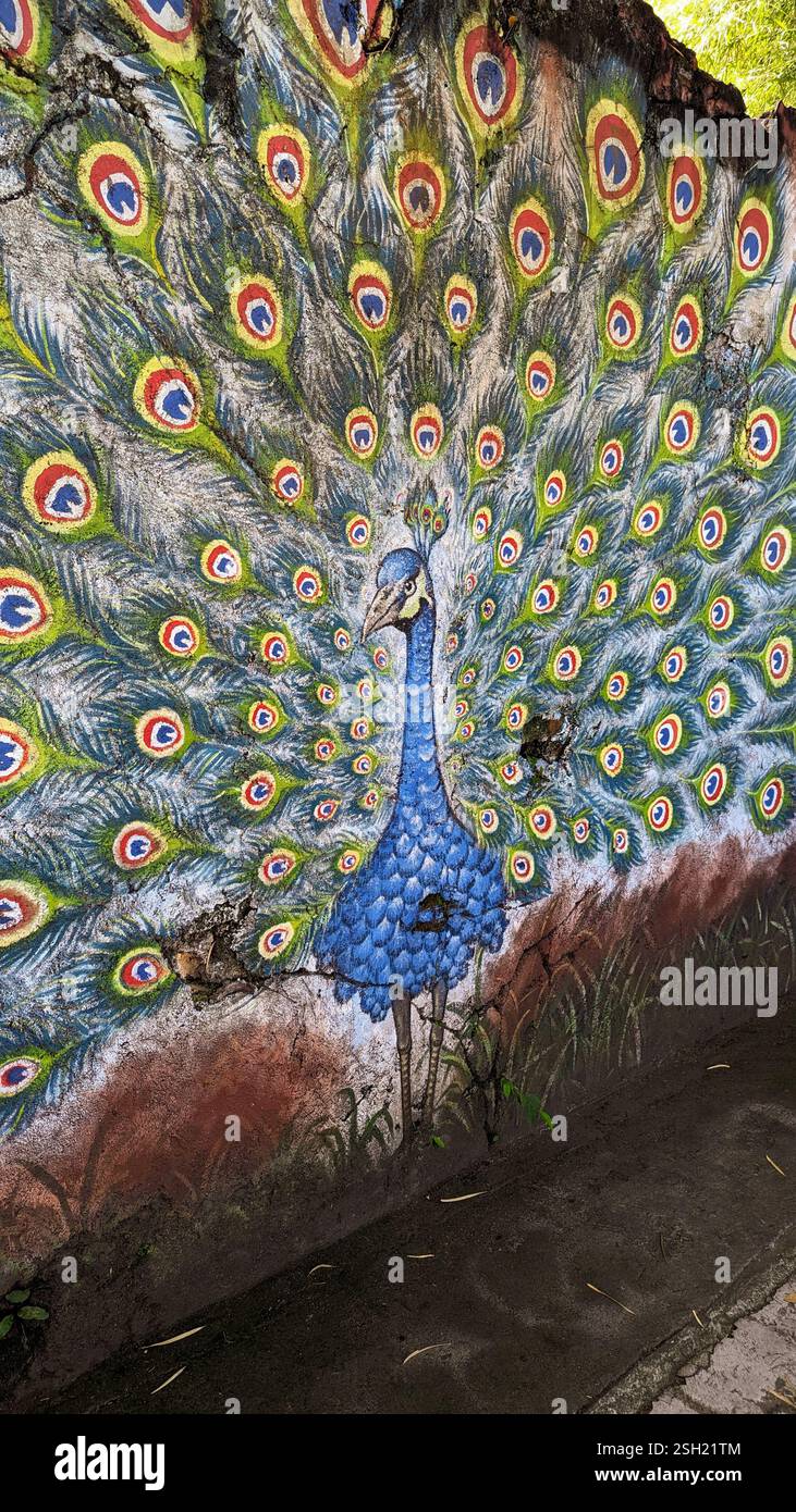 Murale complexe Peacock sur le mur Banque D'Images