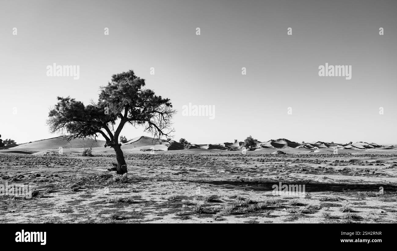 Paysage désertique du Sahara, expérience incroyable au Maroc, ombres des gens. Banque D'Images