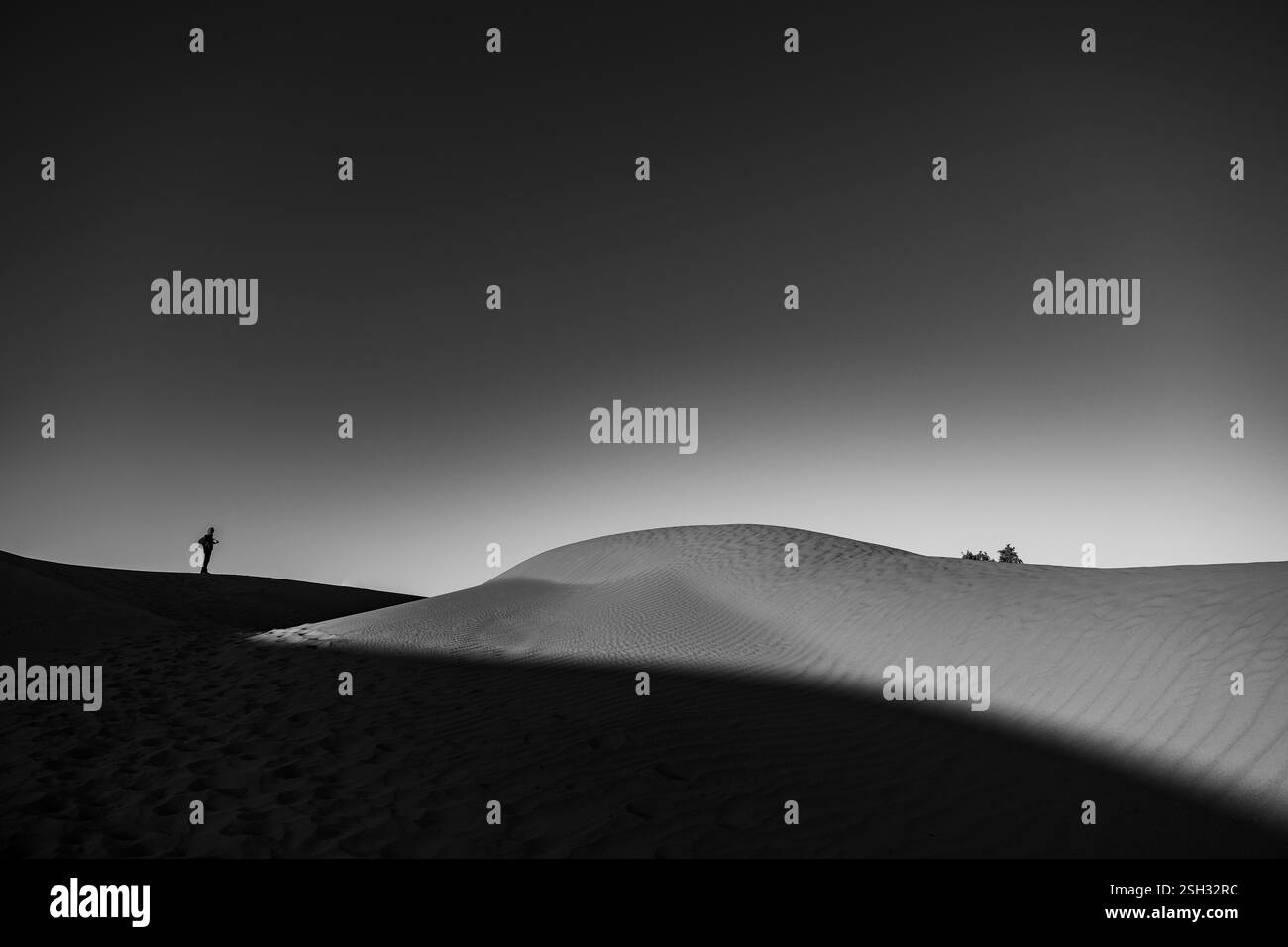 Paysage désertique du Sahara, expérience incroyable au Maroc, nature extérieure et brute. Banque D'Images