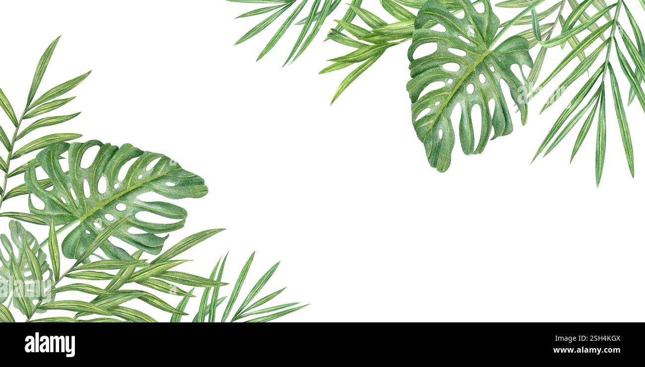 Aquarelle vert tropical palmier et monstera feuilles horizontales rectangle bordure arrière-plan isolé. Cadre de feuillage d'été avec espace de copie pour le texte. Banque D'Images