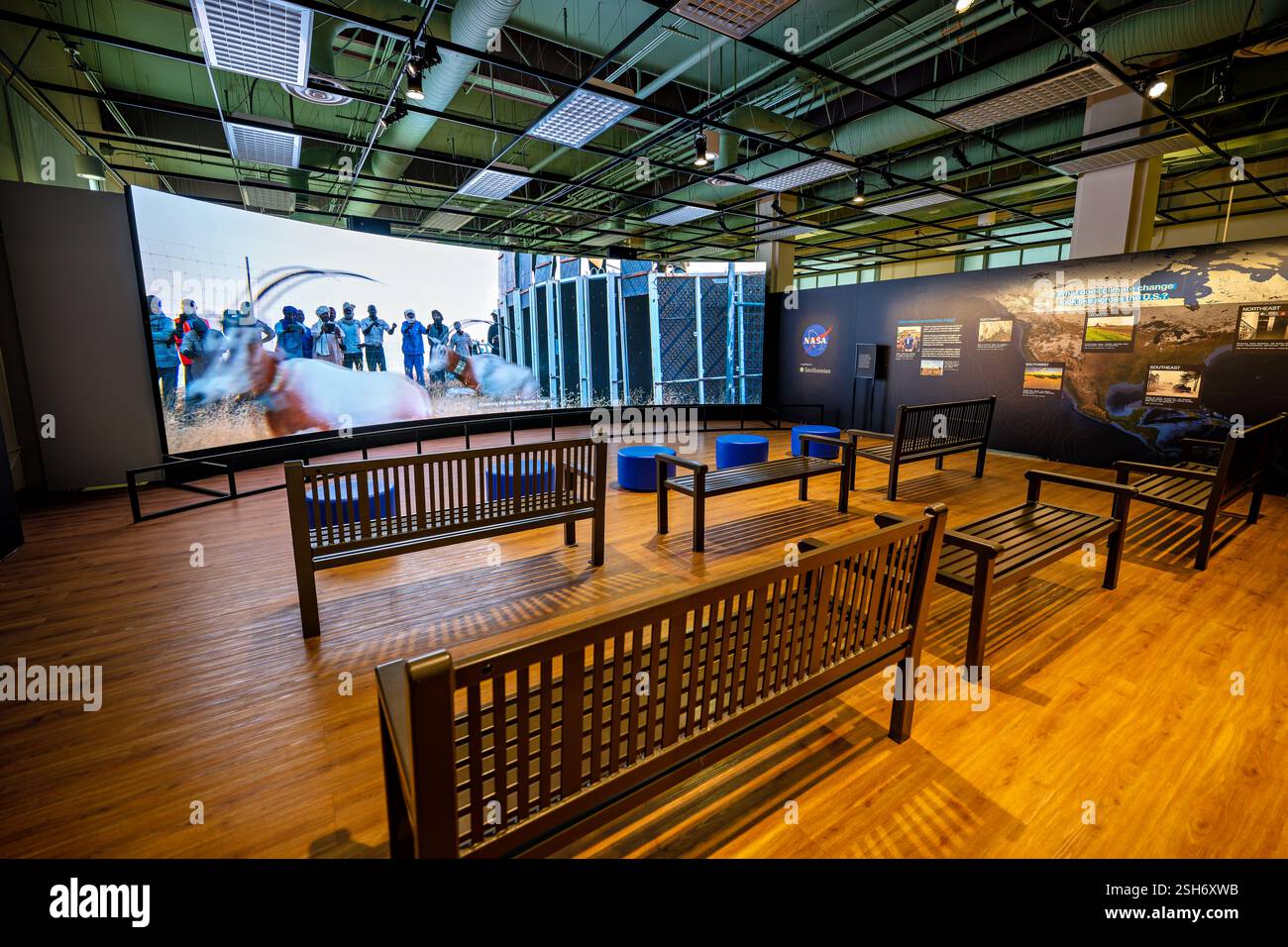 WASHINGTON DC — Une vidéo montrant des recherches sur la faune et la flore sauvages jouées sur l'hypermur de la NASA au Earth information Center du Musée national d'histoire naturelle. La présentation montre comment la technologie satellitaire et les données d'observation de la Terre aident les scientifiques à suivre et à étudier les populations animales et leurs déplacements. L'exposition fait partie de la collaboration de la NASA avec le Smithsonian pour présenter les techniques de surveillance environnementale. Banque D'Images