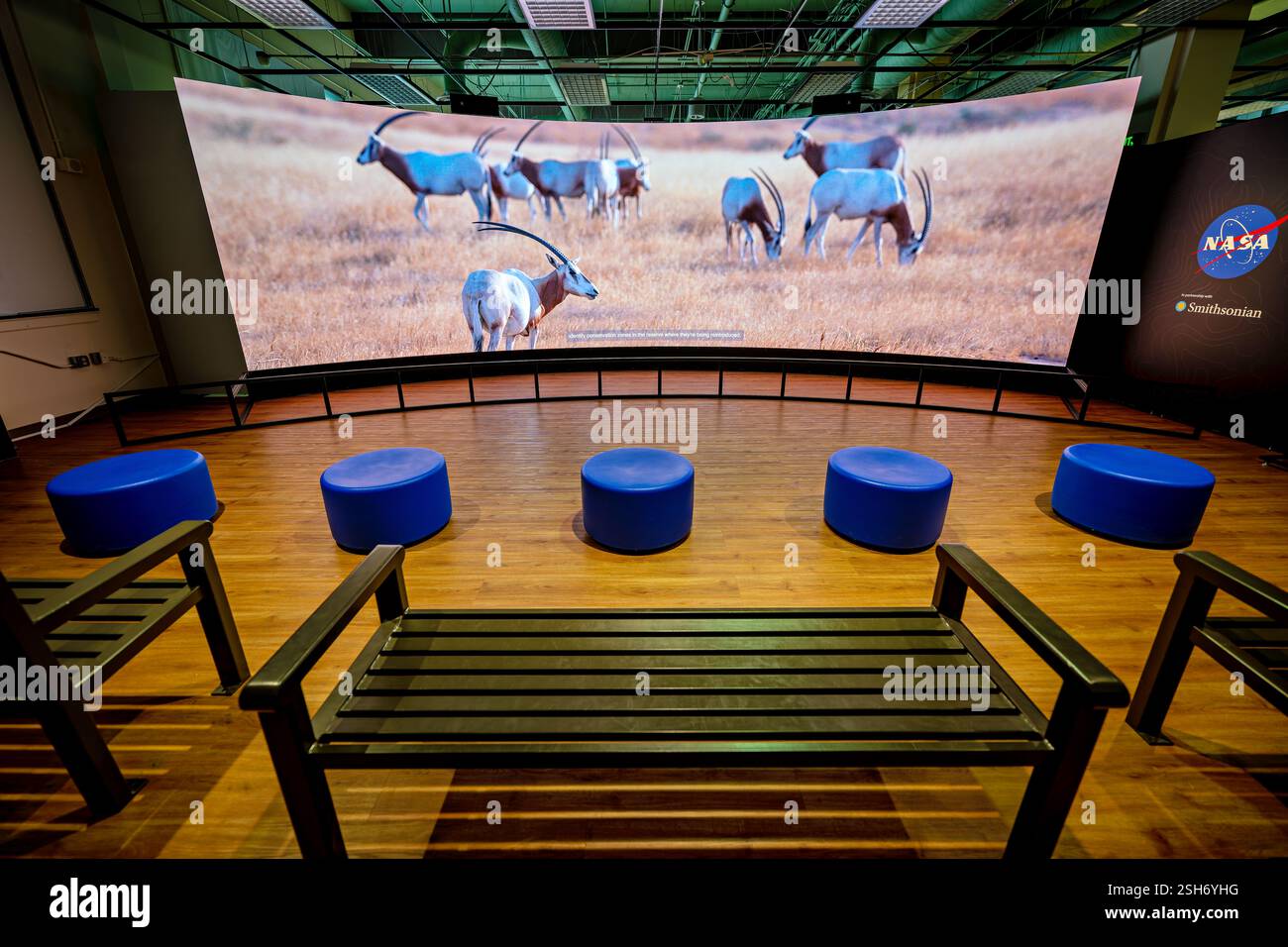 WASHINGTON DC — Une vidéo montrant des recherches sur la faune et la flore sauvages jouées sur l'hypermur de la NASA au Earth information Center du Musée national d'histoire naturelle. La présentation montre comment la technologie satellitaire et les données d'observation de la Terre aident les scientifiques à suivre et à étudier les populations animales et leurs déplacements. L'exposition fait partie de la collaboration de la NASA avec le Smithsonian pour présenter les techniques de surveillance environnementale. Banque D'Images