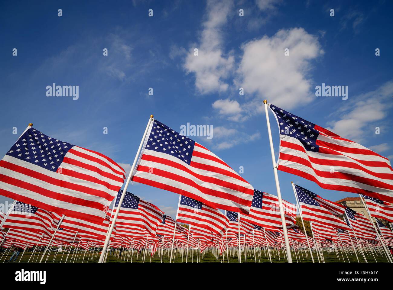 American Flags National Mall Washington DC // WASHINGTON DC — des rangées de drapeaux américains créent une installation temporaire sur le National Mall. L'exposition publique temporaire présente plusieurs drapeaux américains disposés en rangées sur le vaste parc national. Banque D'Images