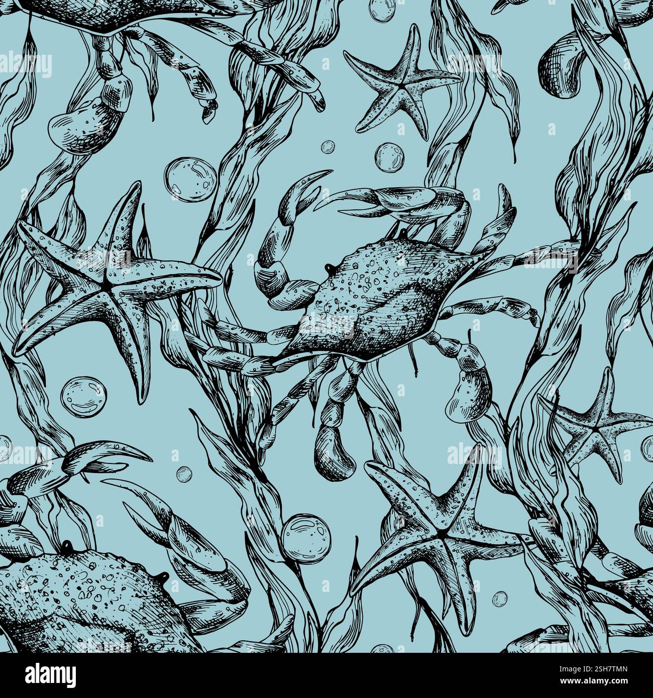 Clipart du monde sous-marin avec des animaux de mer baleine, tortue, poulpe, hippocampe, étoile de mer, coquillages, corail et algues. Illustration graphique dessinée à la main Illustration de Vecteur