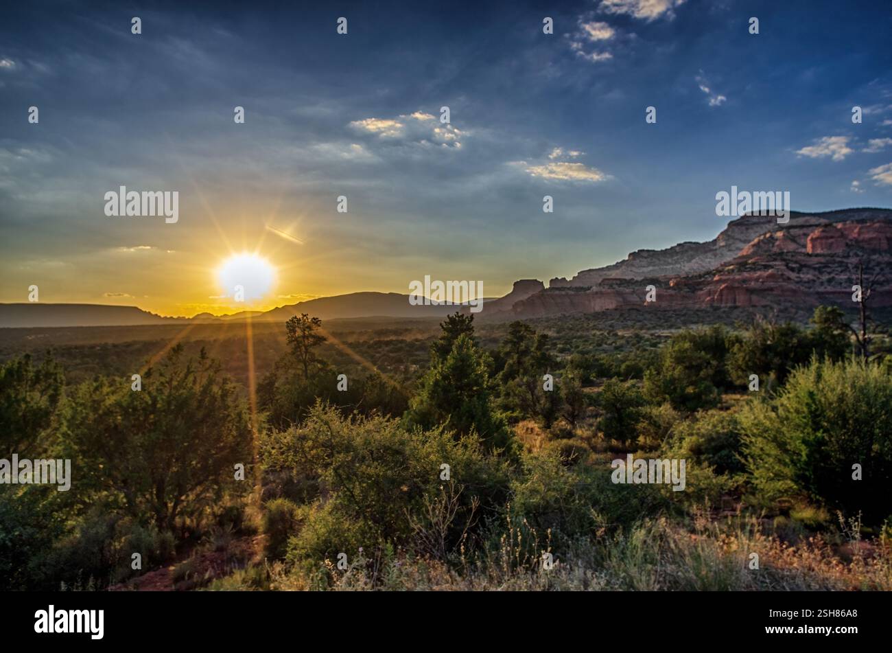 Un coucher de soleil doré illumine le désert de l'Arizona, projetant une lumière chaude sur la végétation verte et les formations rocheuses rouges lointaines sous un ciel vibrant. Banque D'Images