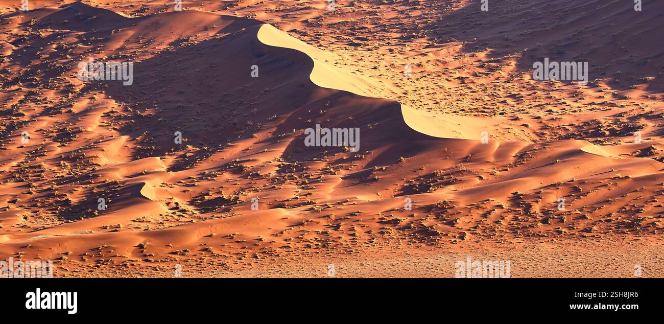 Dunes de Sossusvlei dans le soleil du matin formant de belles formes avec des nuances, Namibie, Afrique. Banque D'Images
