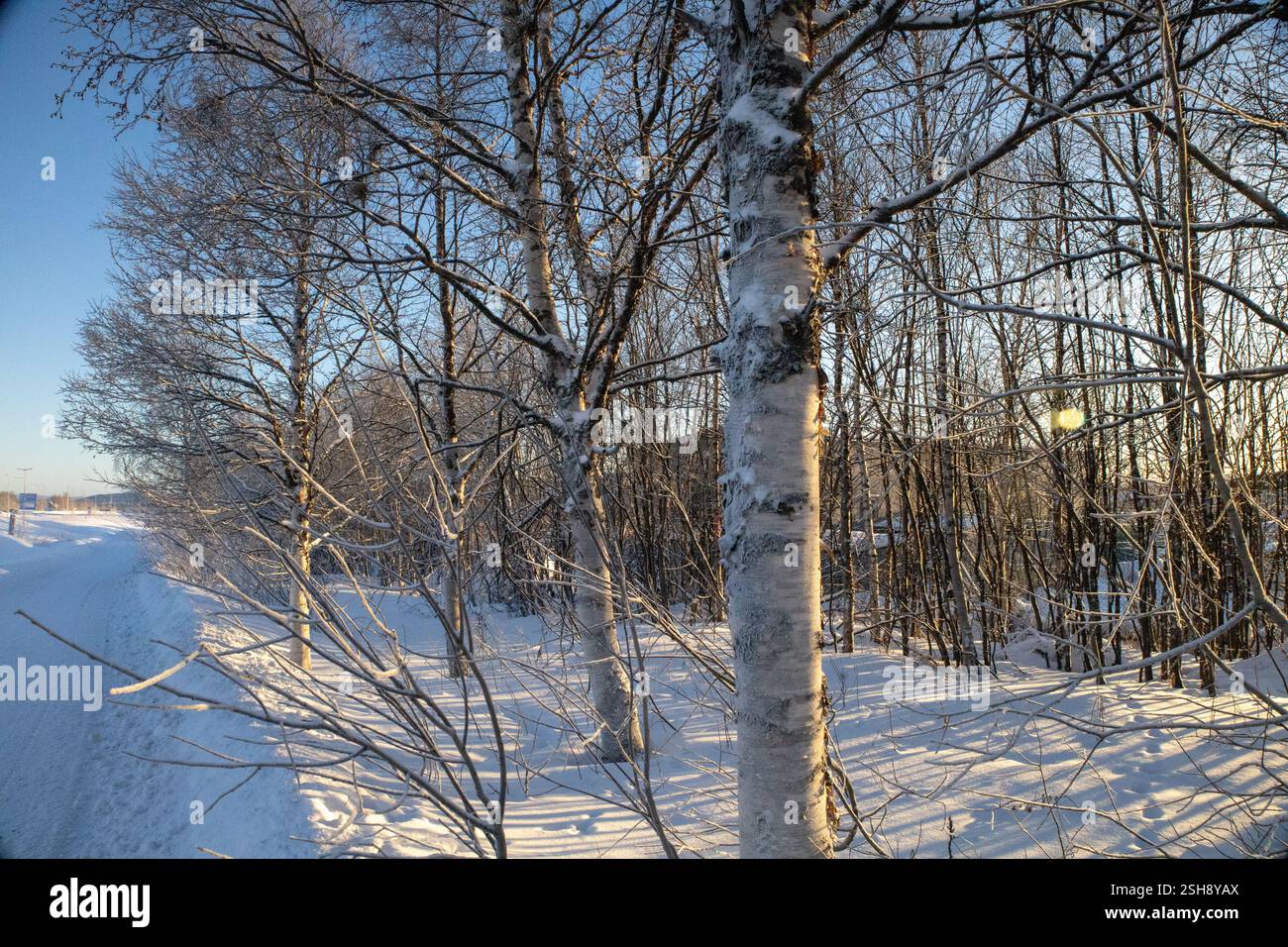 Paysage hivernal à Kiruna, Laponie, nord de la Suède. Photographié en janvier. Banque D'Images