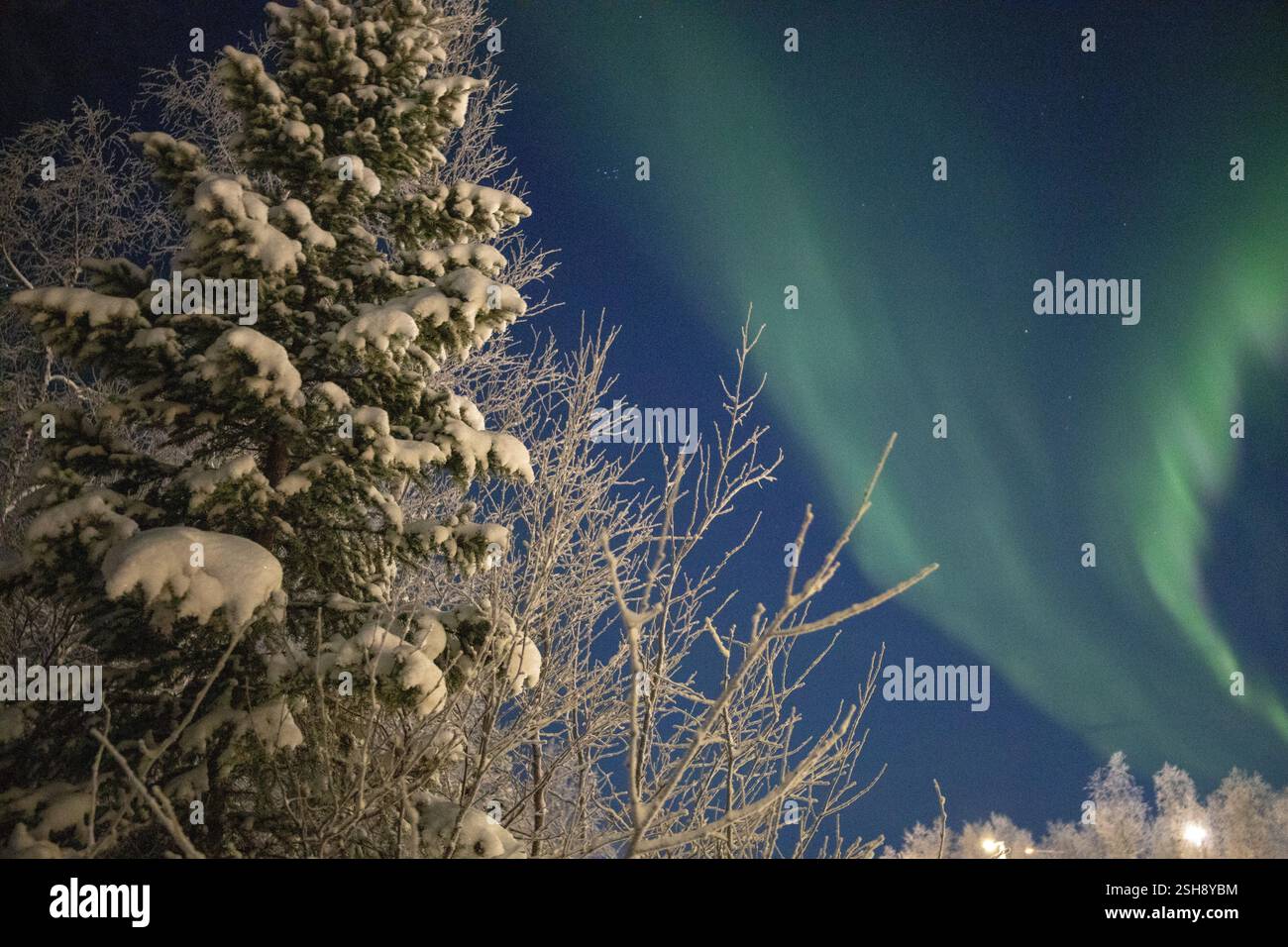 Belle nuit d'hiver avec des aurores boréales (aurores boréales) dans le ciel, des arbres couverts de neige profonde (image haute ISO) Banque D'Images
