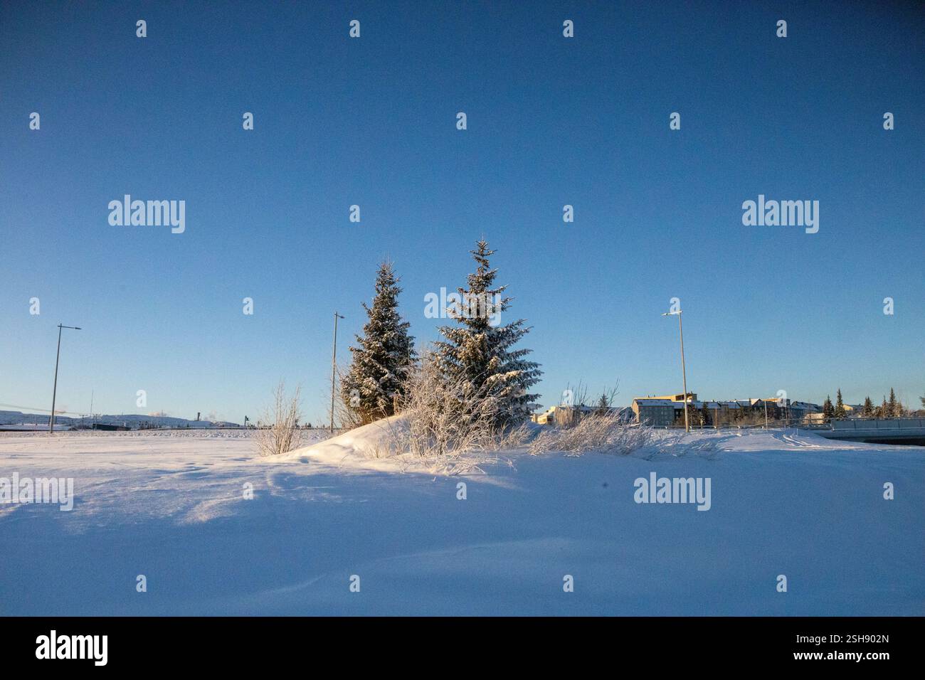 Paysage hivernal à Kiruna, Laponie, nord de la Suède. Photographié en janvier. Banque D'Images