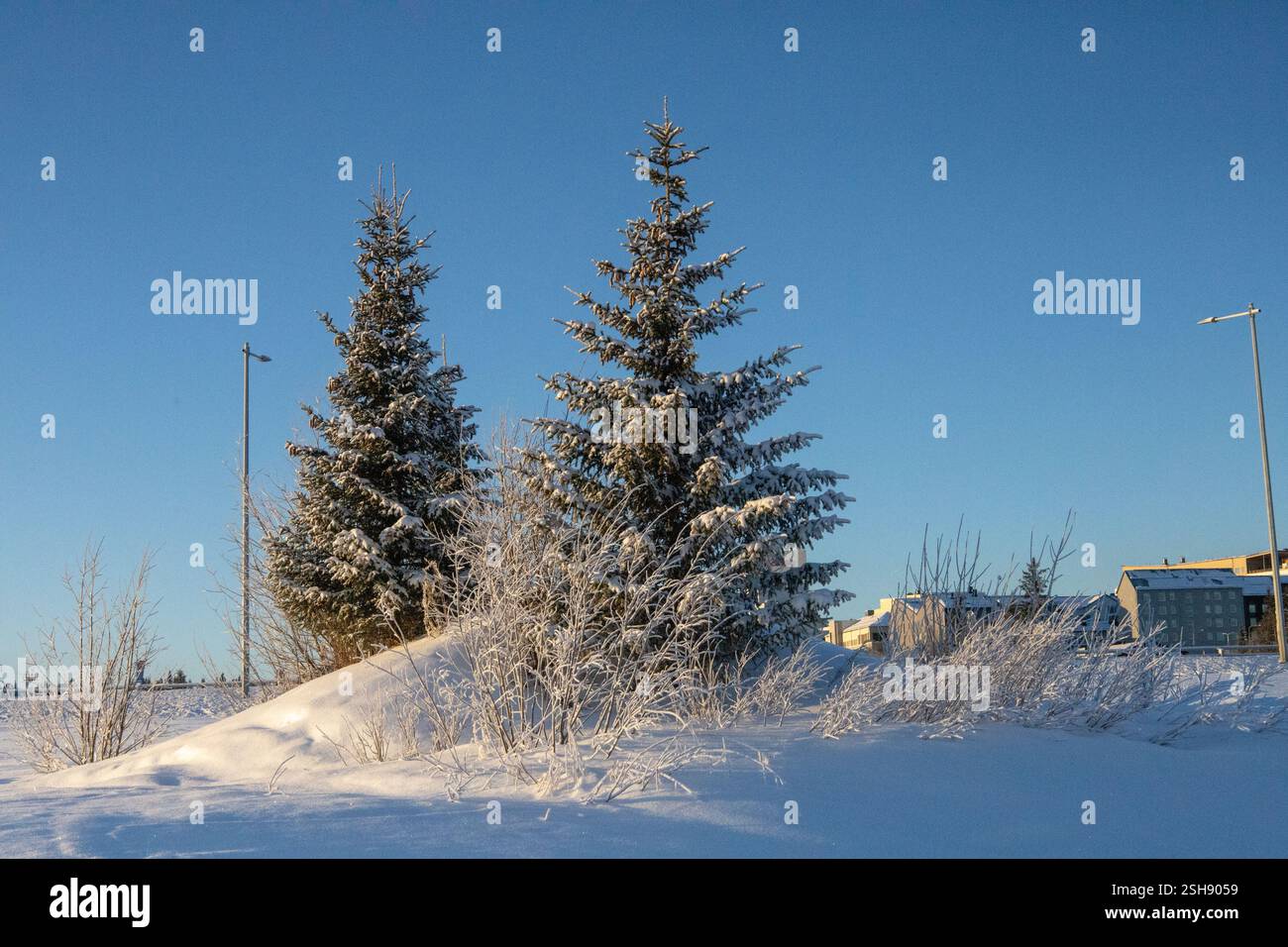 Paysage hivernal à Kiruna, Laponie, nord de la Suède. Photographié en janvier. Banque D'Images