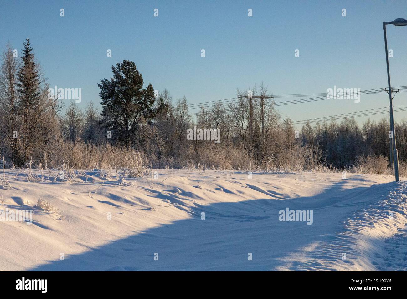 Paysage hivernal à Kiruna, Laponie, nord de la Suède. Photographié en janvier. Banque D'Images