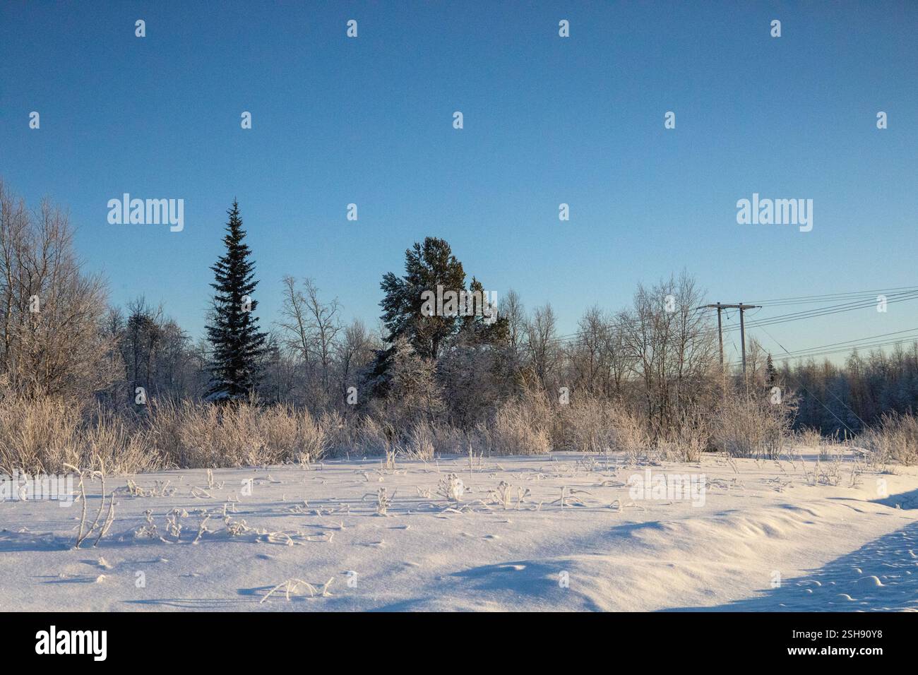 Paysage hivernal à Kiruna, Laponie, nord de la Suède. Photographié en janvier. Banque D'Images