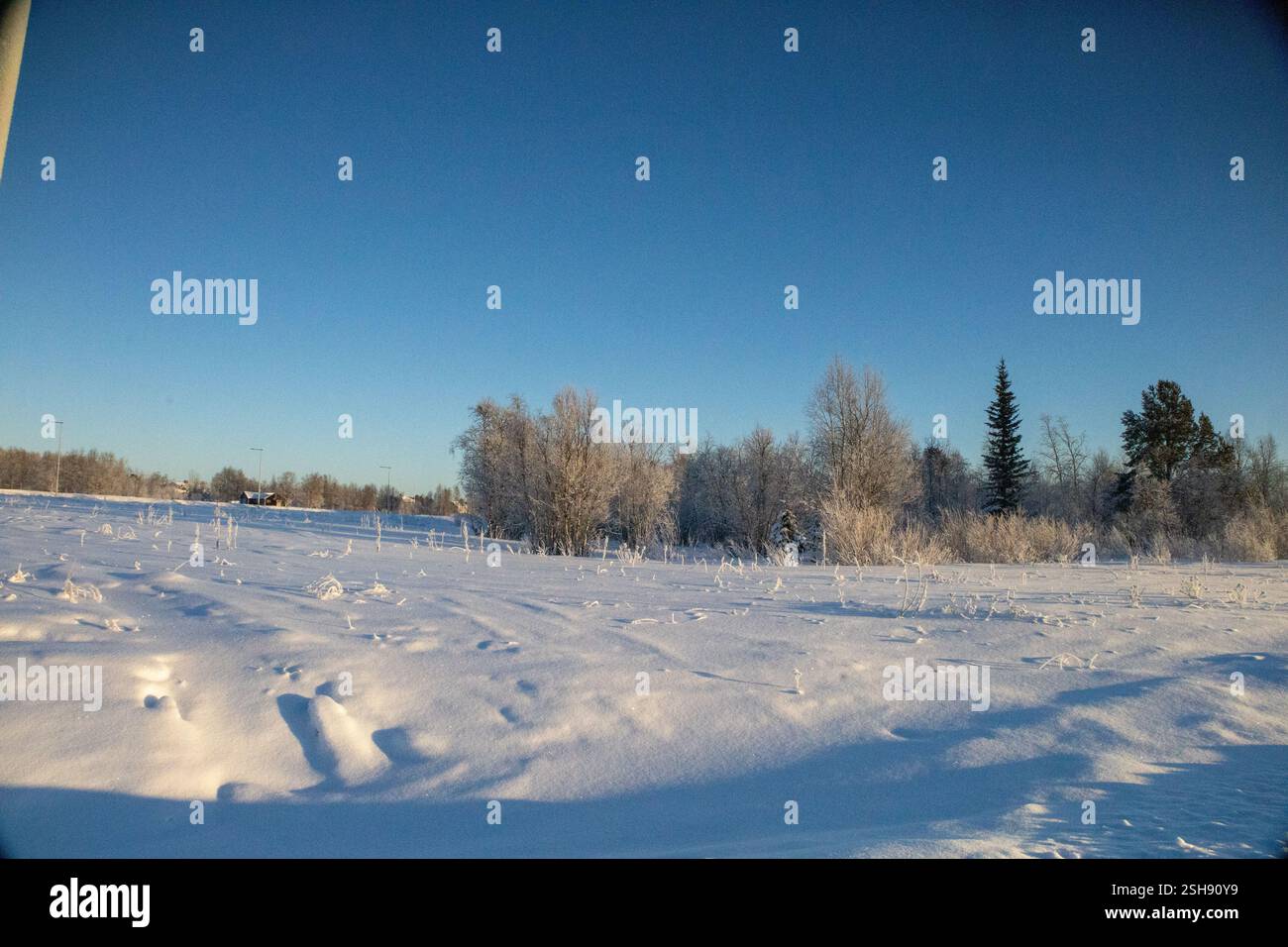 Paysage hivernal à Kiruna, Laponie, nord de la Suède. Photographié en janvier. Banque D'Images